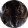 kasvik