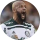 AGORAVAI