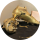 scobaba54