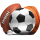 THE SPORT SCIENTIST