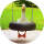 KaczaZajawka