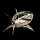 xewe