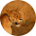 KenyanLongRangeMissile