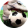 mastergol11