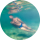 acquaman