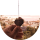 WarleyENTips