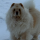 snowchow