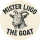 Mister_Liigo