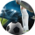 ROI_FC